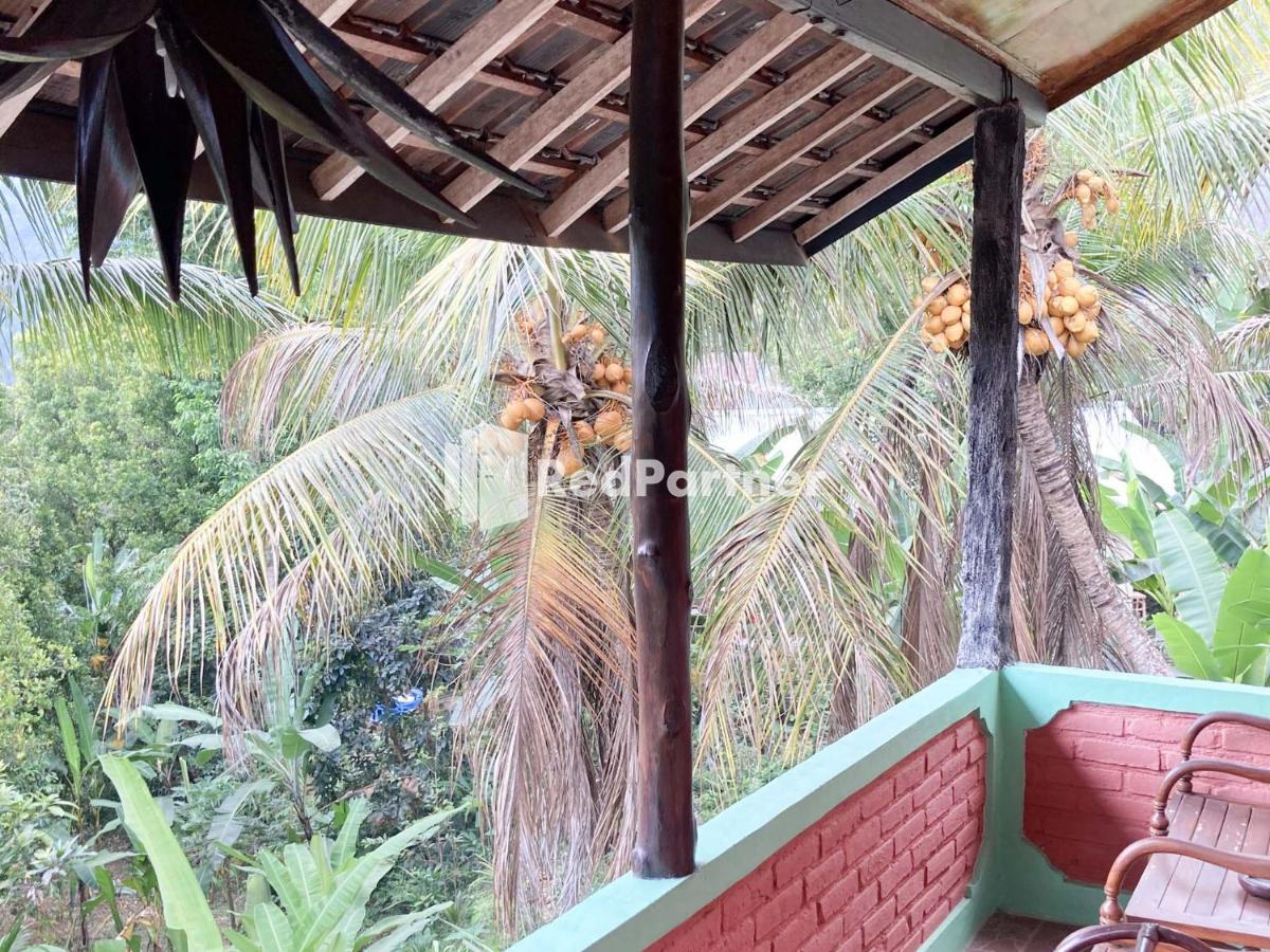 Taman Ayu Homestay Munduk Mitra Reddoorz Exteriör bild
